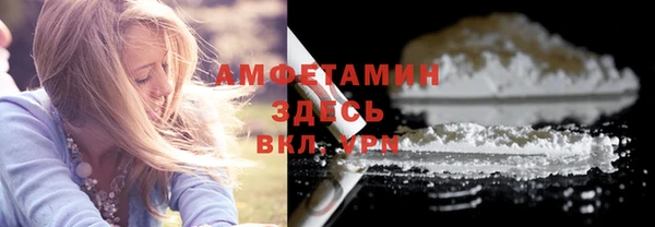 ГАЛЛЮЦИНОГЕННЫЕ ГРИБЫ Бородино