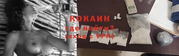 ГАЛЛЮЦИНОГЕННЫЕ ГРИБЫ Бородино