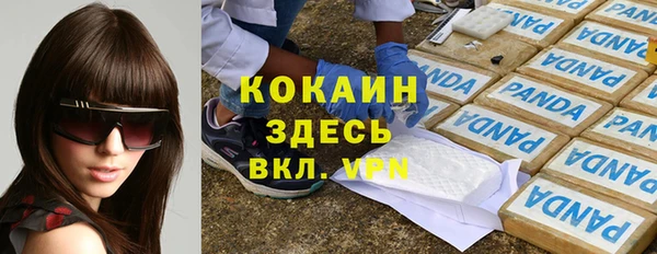 ГАЛЛЮЦИНОГЕННЫЕ ГРИБЫ Бородино