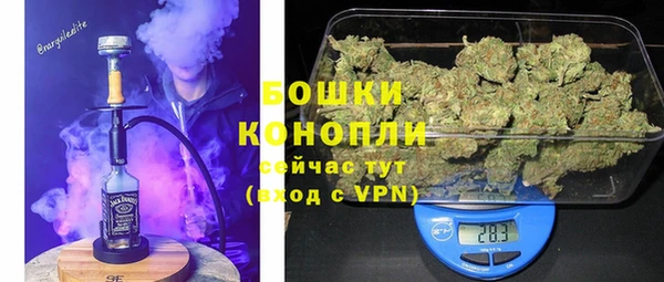 ГАЛЛЮЦИНОГЕННЫЕ ГРИБЫ Бородино