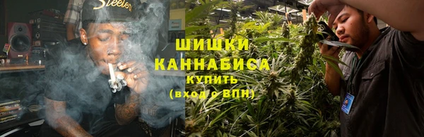 ГАЛЛЮЦИНОГЕННЫЕ ГРИБЫ Бородино