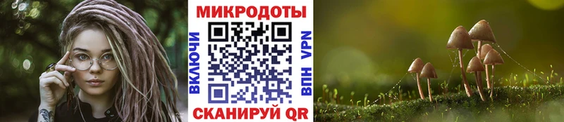 Псилоцибиновые грибы Psilocybe  Братск 